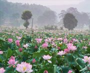 广昌天气预报30天